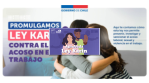 Ley Karin Portada